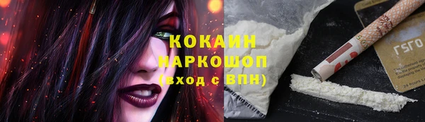 стафф Вяземский