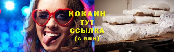 стафф Вяземский