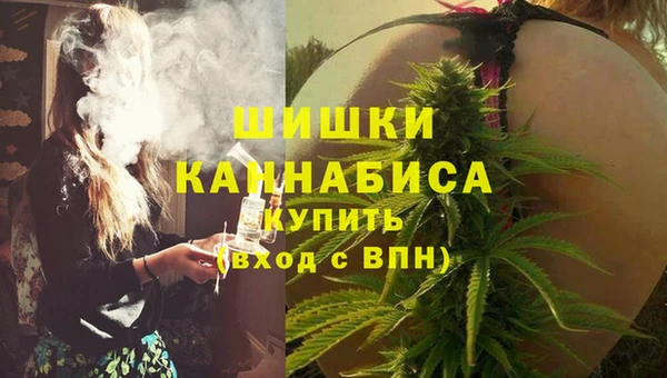 стафф Вяземский