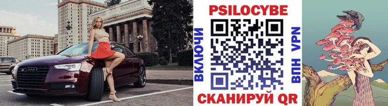 Псилоцибиновые грибы Cubensis Королёв
